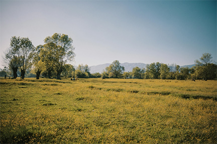 A piece of land available to purchase with mountains visible in the distance